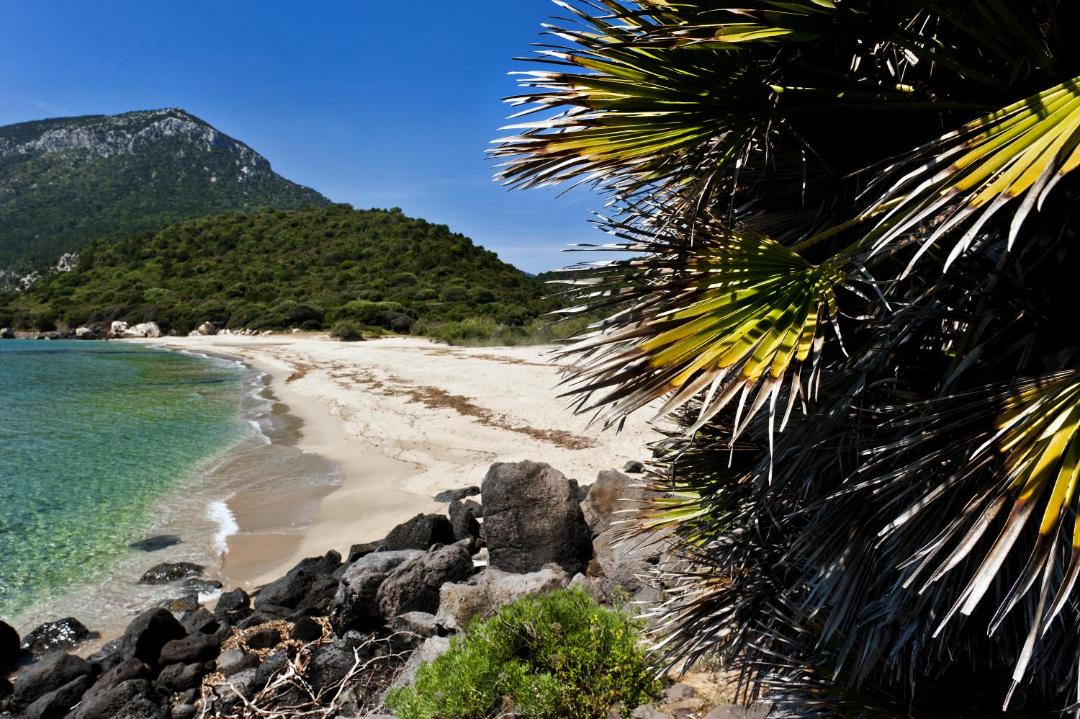 Photo of Others in Cala Gonone