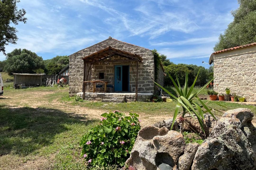 Photo of Others in Sa Castangia