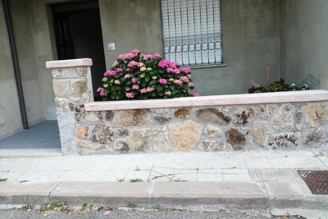 Photo of Others in Fonni