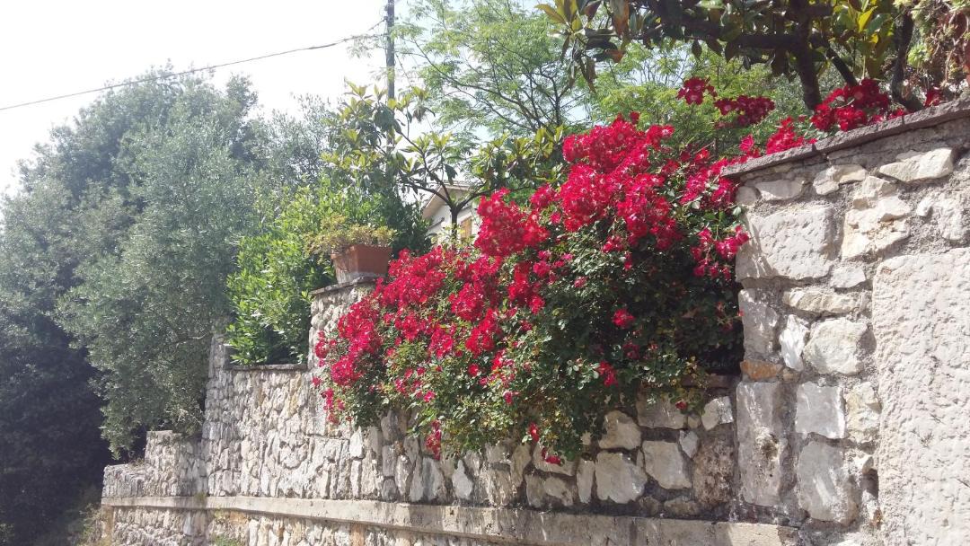 Photo of Others in Torre San Gregorio