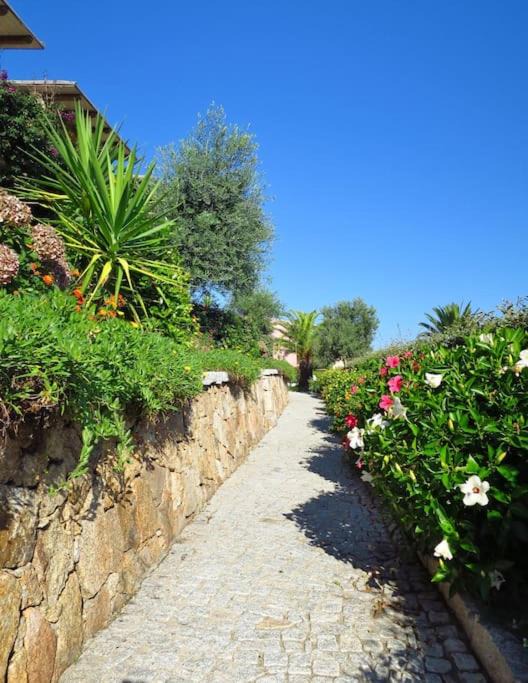 Photo of Others in Porto Pozzo