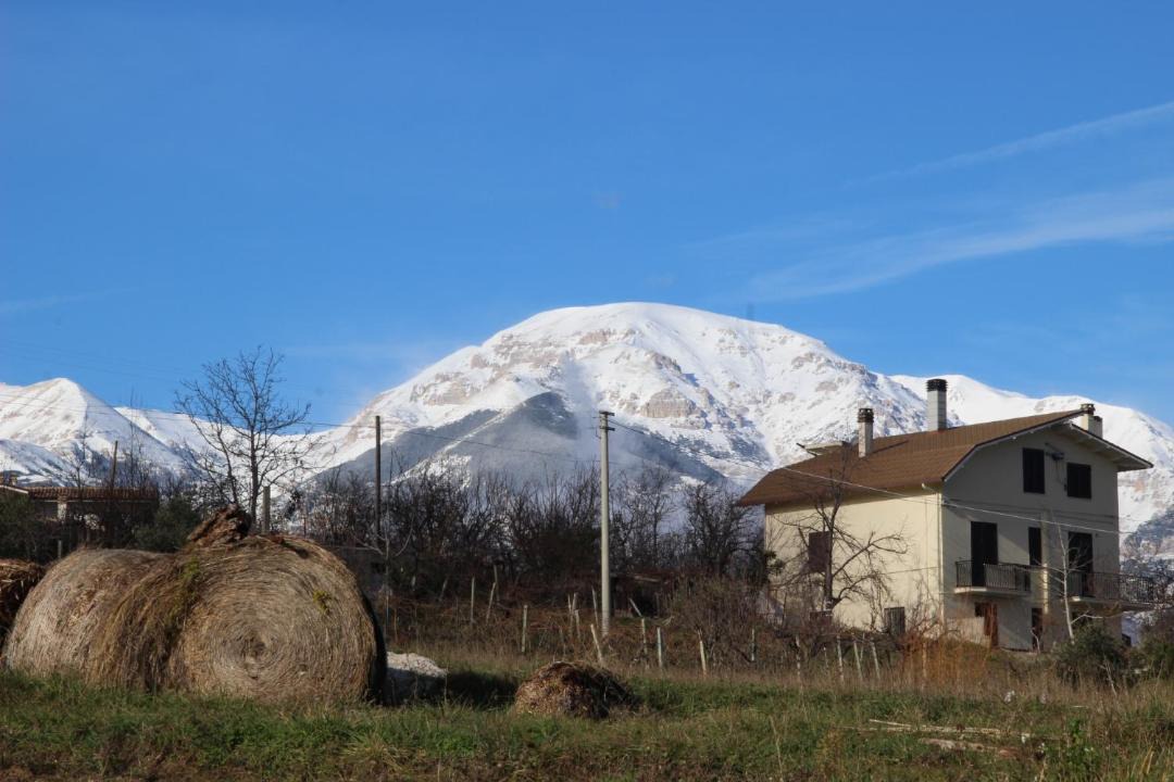 Photo of Others in Miglianico