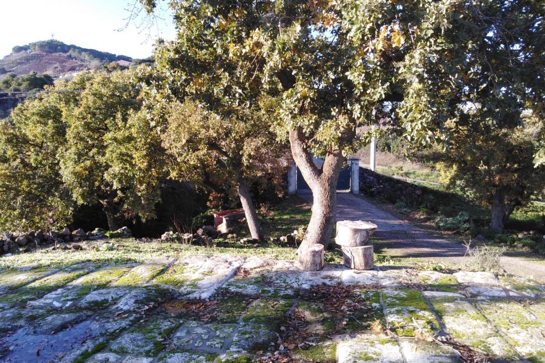 Photo of Others in Cheremule