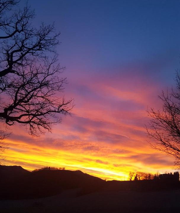 Photo of Others in Urbino