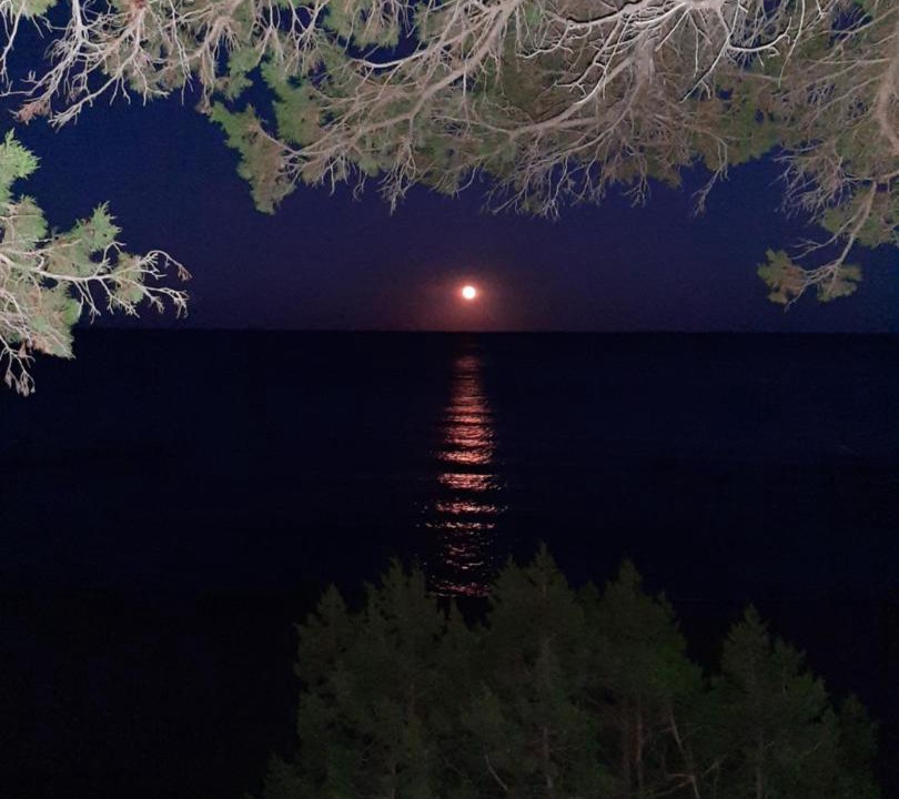 Photo of Others in Cala Gonone