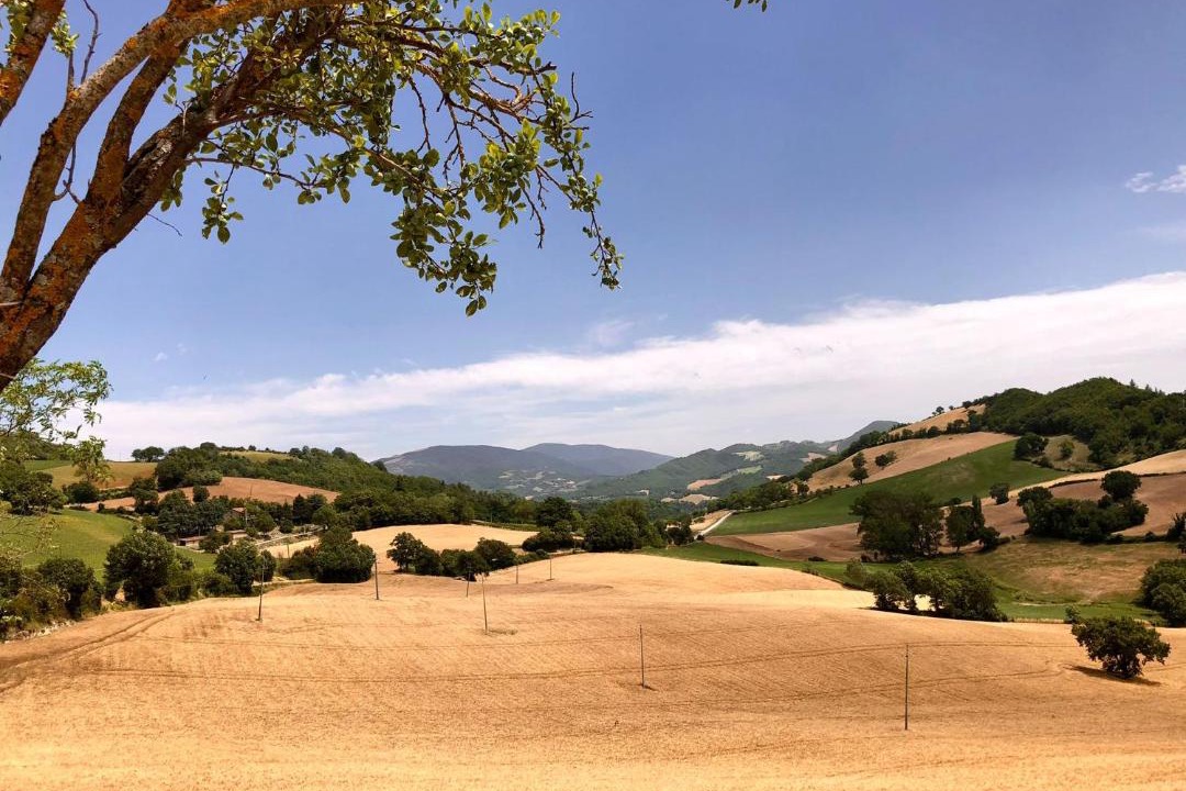 Photo of Others in Urbino