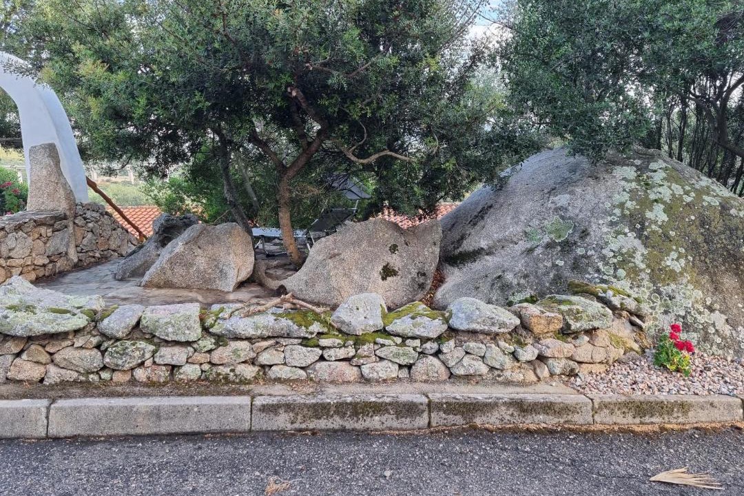 Photo of Others in Osseddu