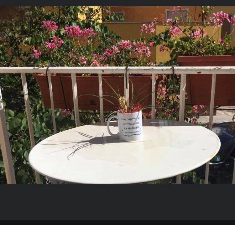 Photo of Others in Austis