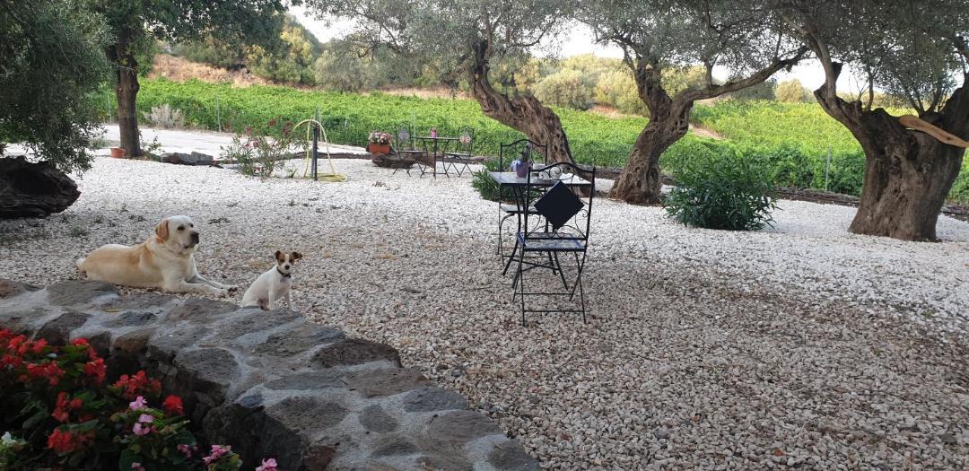 Photo of Others in Dorgali