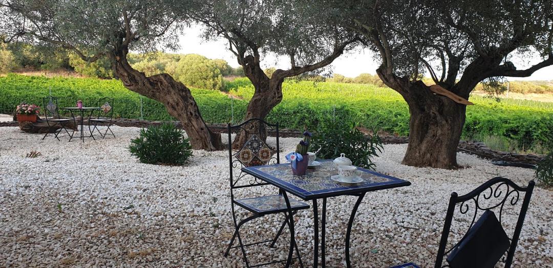 Photo of Patio Balcony in Dorgali