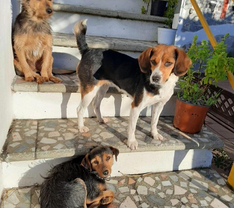 Photo of Others in Tortoli