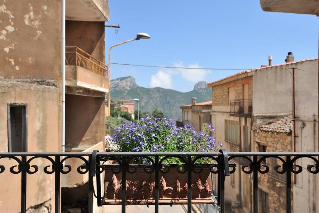 Photo of Others in Baunei