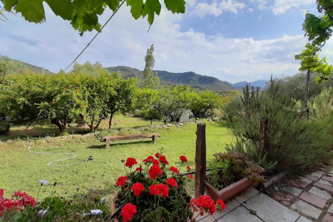 Photo of Others in Tortoli