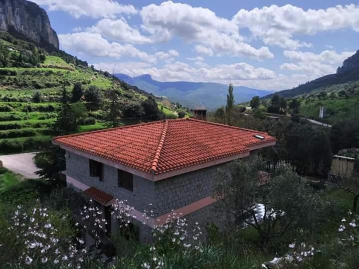 Photo of Others in Ulassai