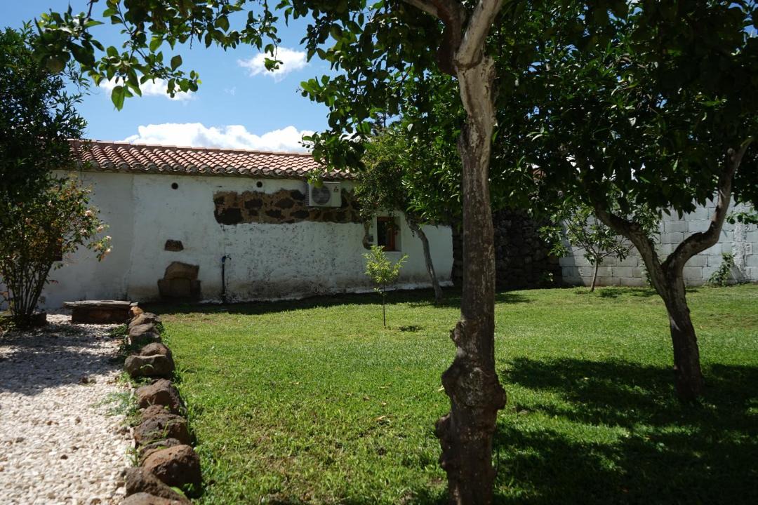 Photo of Others in Sedilo