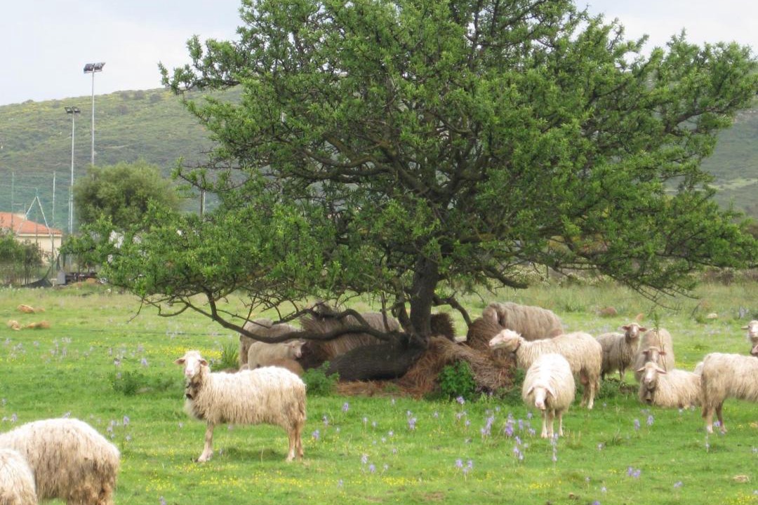 Photo of Others in San Teodoro
