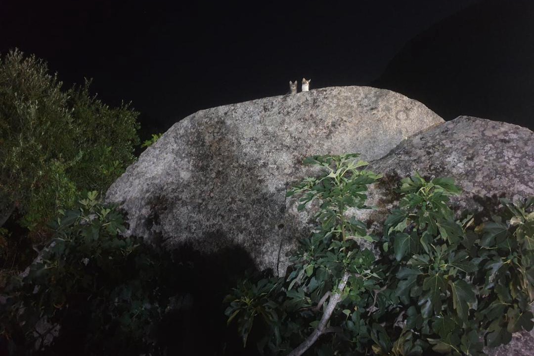 Photo of Others in Dorgali