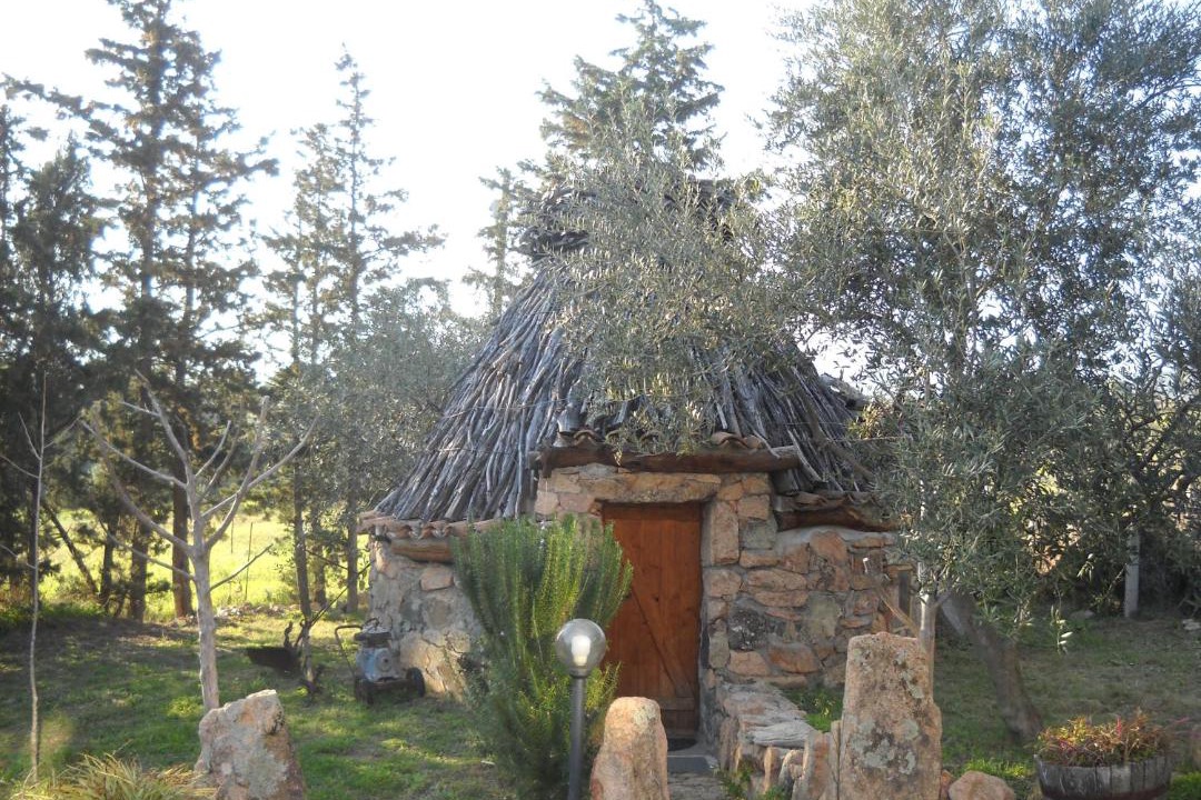 Photo of Others in Talana