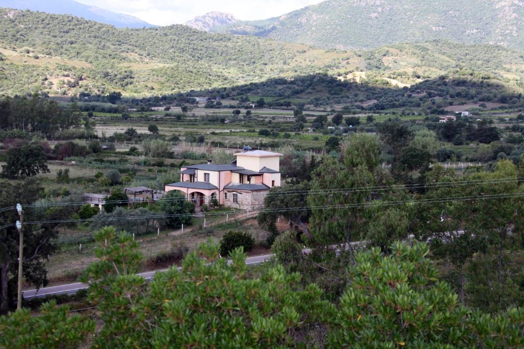 Photo of Others in Talana