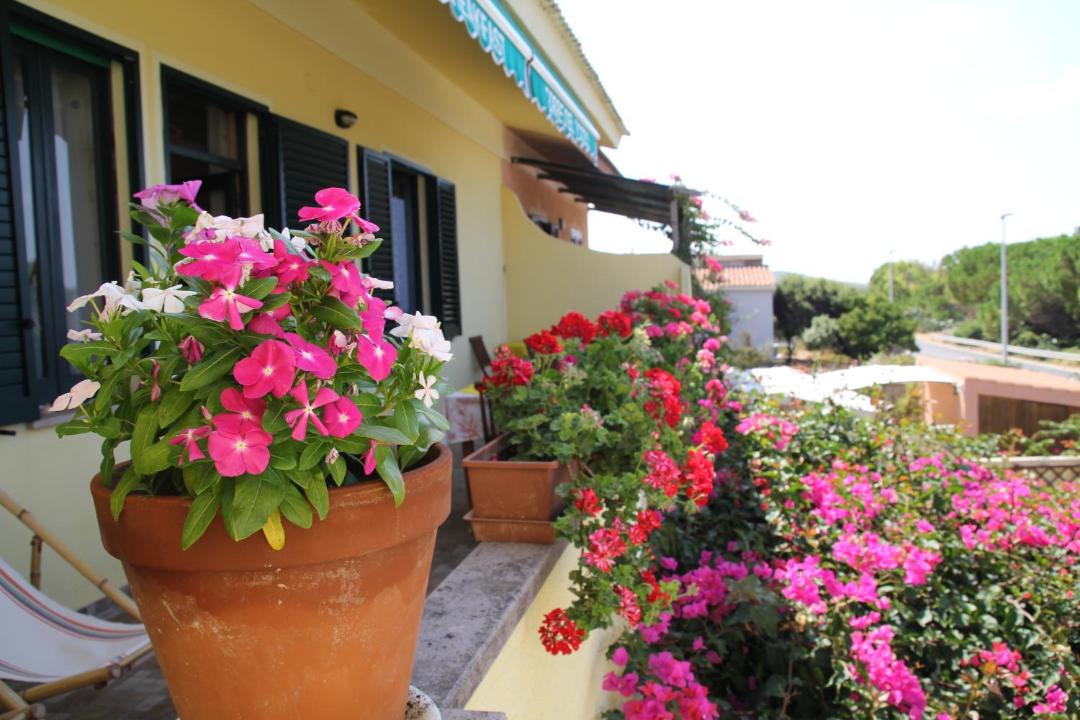 Photo of Others in Torre del Pozzo