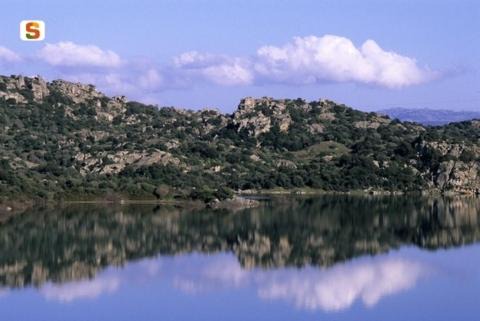 Photo of Others in Oschiri