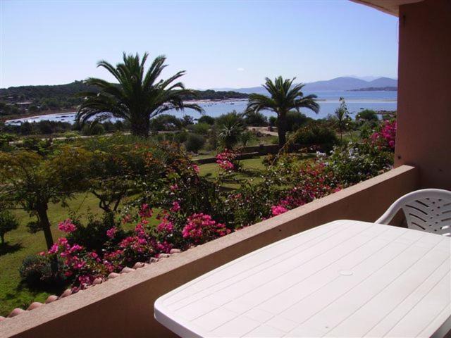Photo of Others in San Teodoro