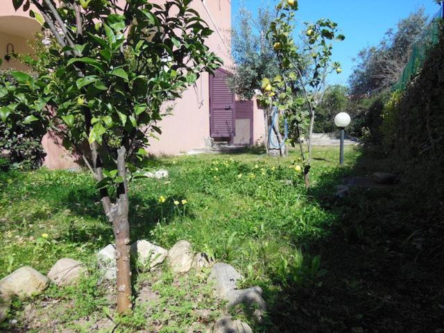 Photo of Others in San Teodoro City Centre