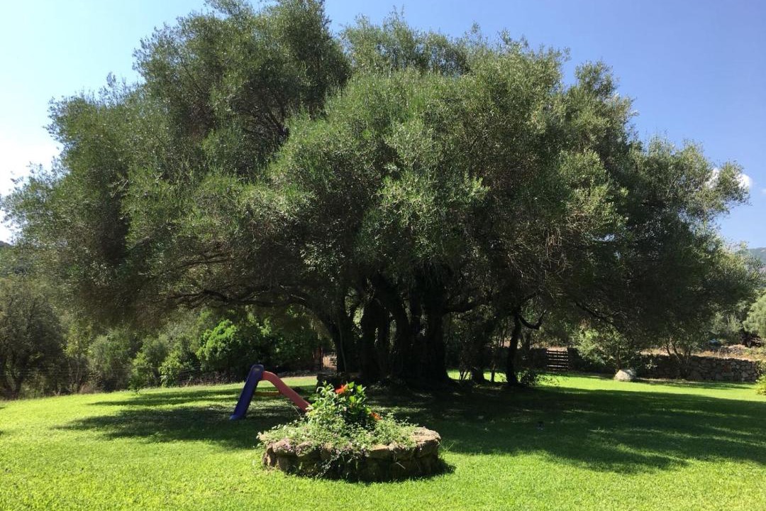 Photo of Outdoor in Sa Castanza