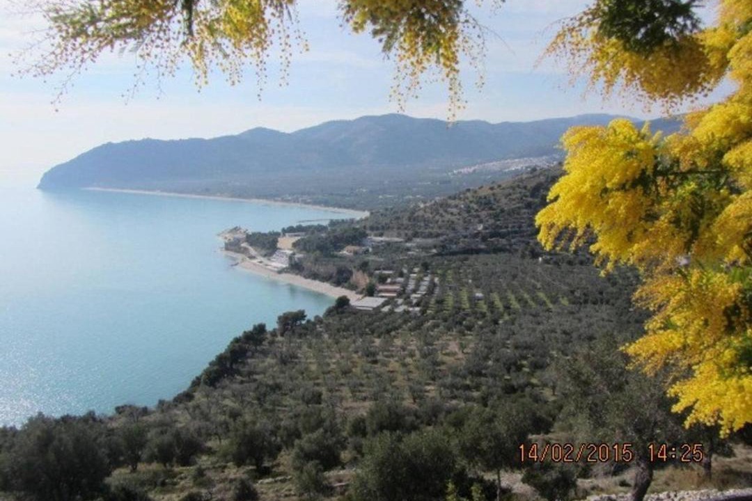Photo of Others in Mattinata