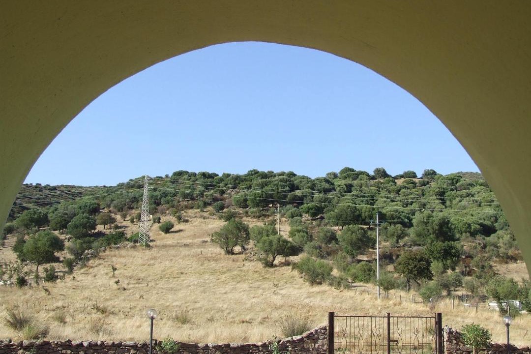 Photo of Others in Luddui