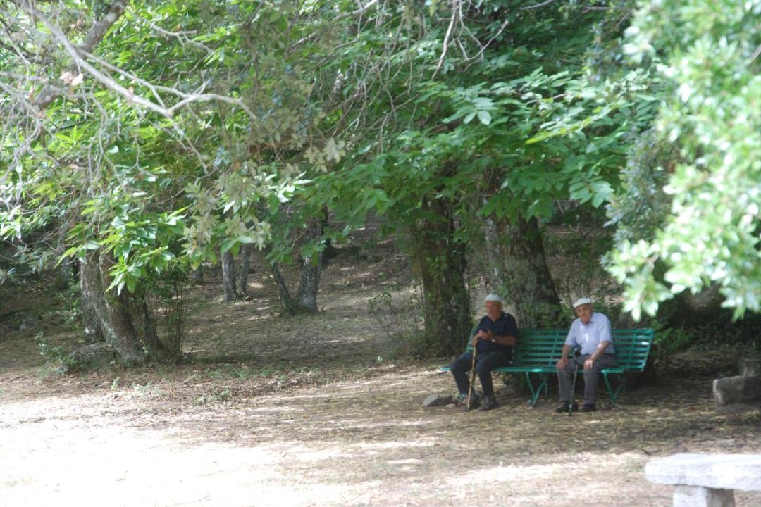 Photo of Others in Lanusei
