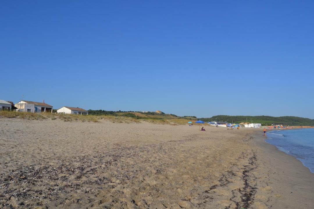 Photo of Others in Platamona