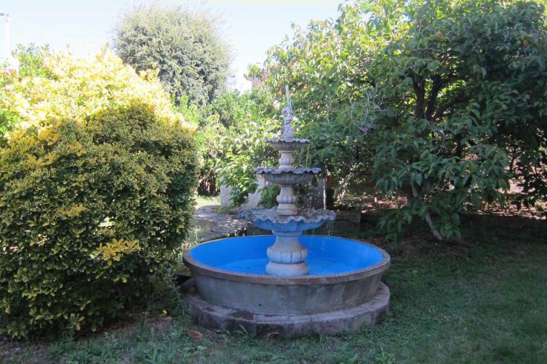 Photo of Others in Tinnura