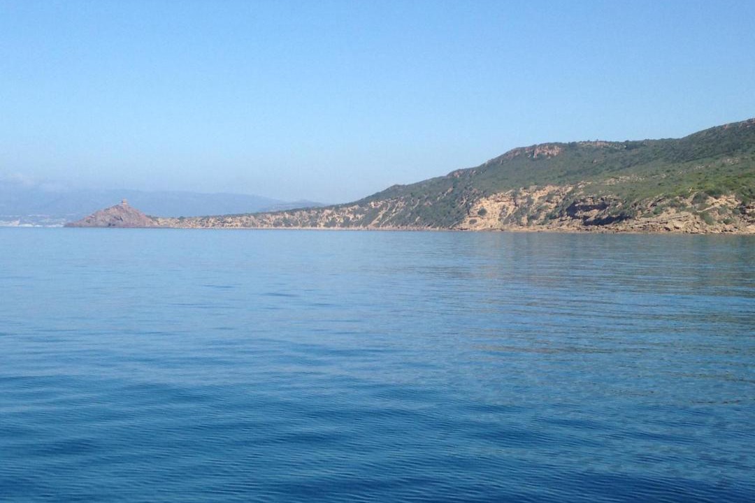 Photo of Others in Porto Alabe