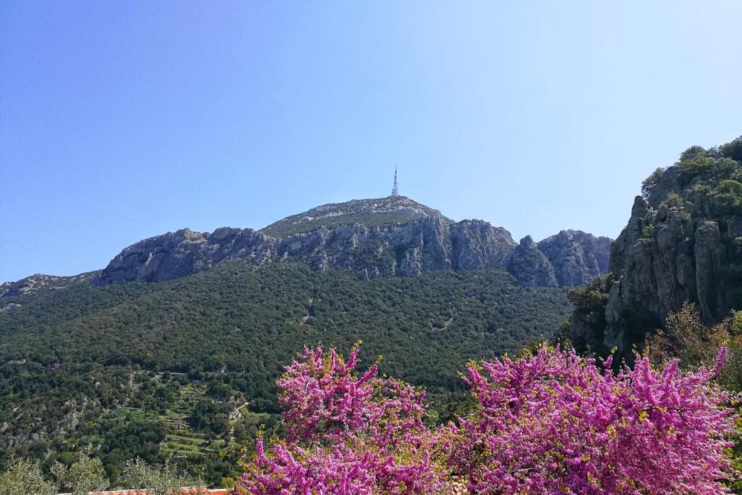 Photo of Others in Dorgali