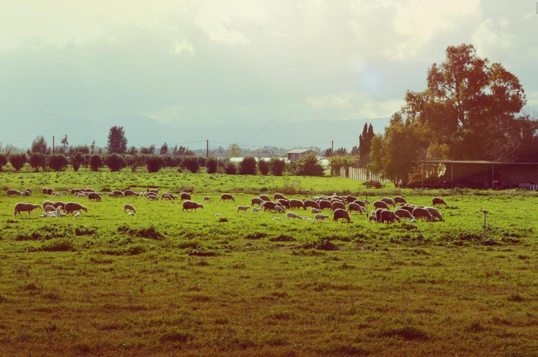 Photo of Others in Uta
