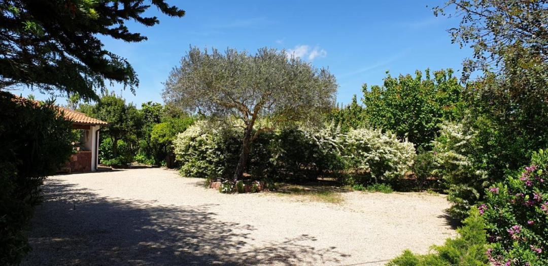Photo of Others in Sassari