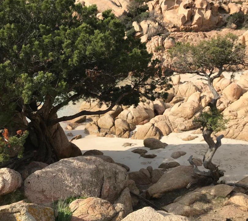 Photo of Others in Golfo Aranci