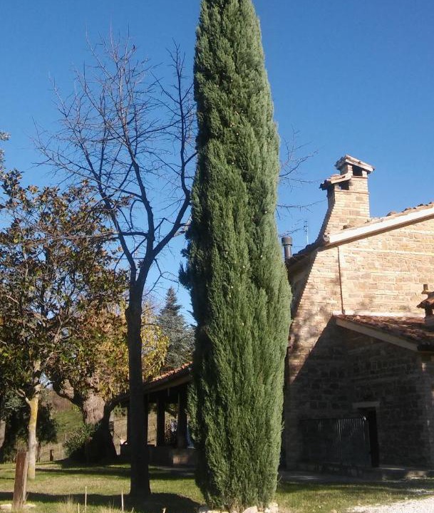Photo of Others in Montecarotto