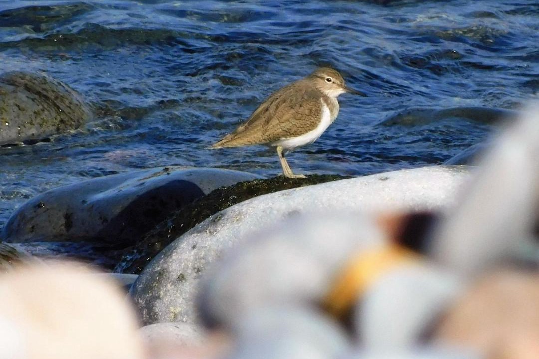 Photo of Others in Santa Caterina
