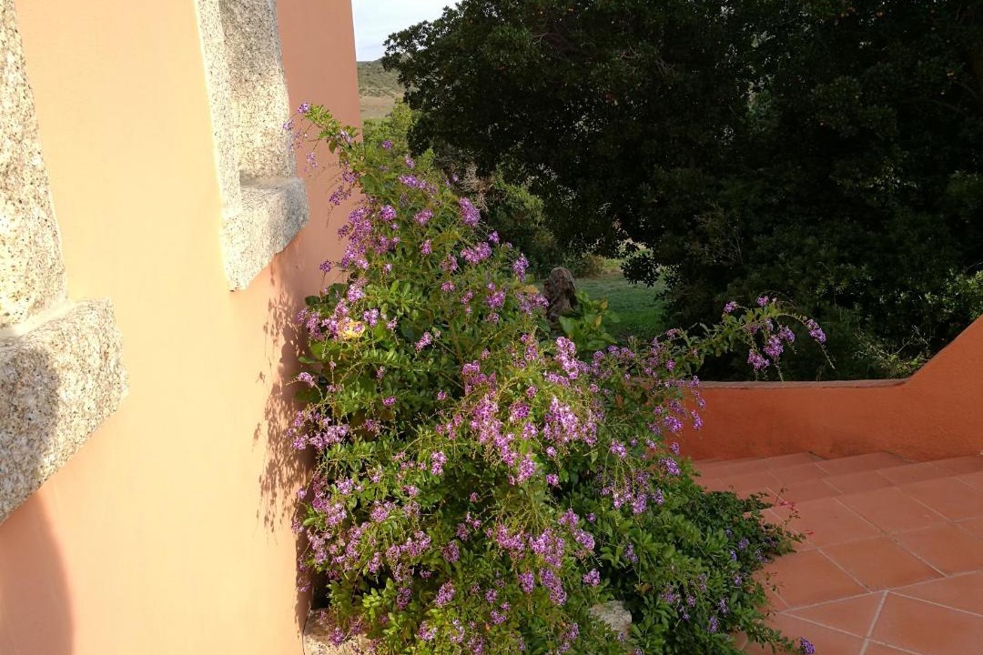 Photo of Others in Aglientu