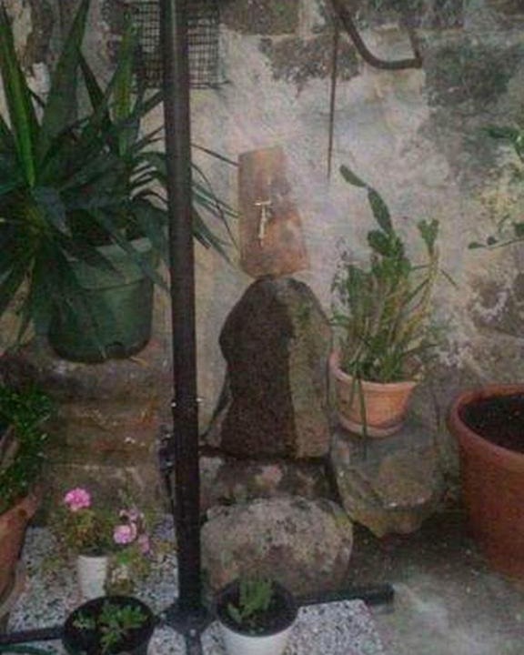 Photo of Others in Milis