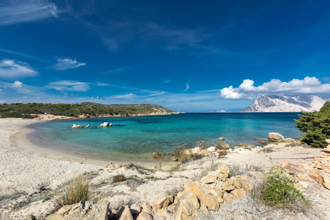 Photo of Others in San Teodoro