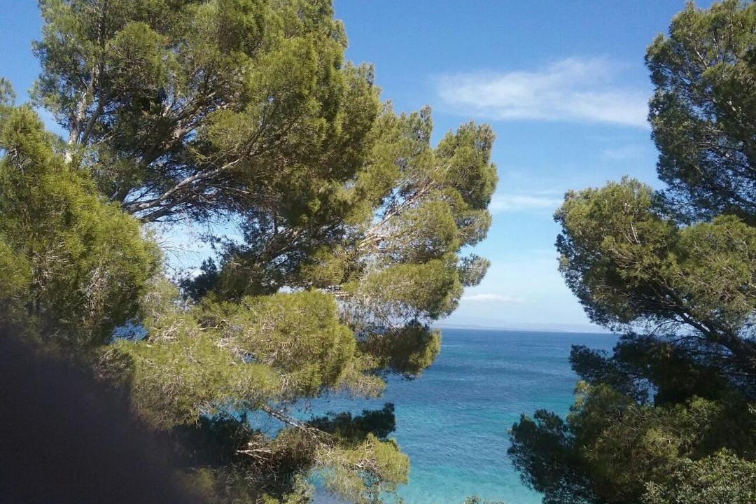 Photo of Others in Carloforte