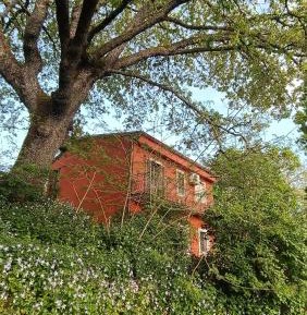 Standard Double or Twin Room with Garden View