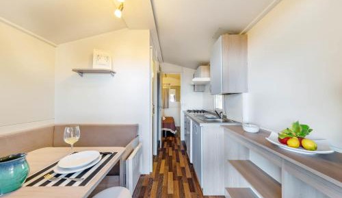 Mobile Home