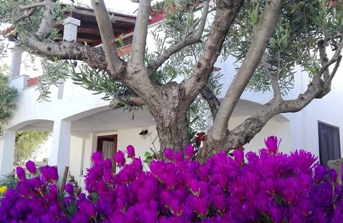 Berchidda Other | Agriturismo B&B Domo De Resteblas
