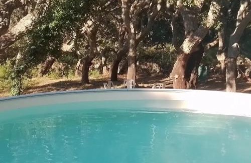 Calangianus Ski Chalet | Tiny House nella natura Con Piscina privata "La sughereta"