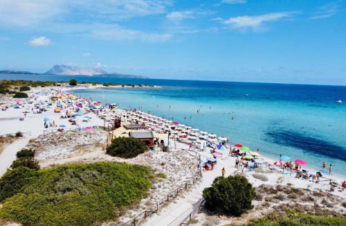 Luddui Villa | San Teodoro Villa Ambra Costa Caddu