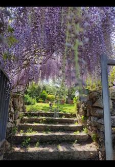 Berchidda Bed & Breakfast | B&B San Michele